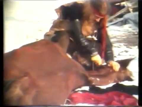 "Hesteofringen" - Henning Christiansen's Archive