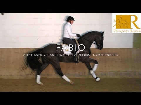 SOLD!! Dressurpferd - 2012 Hannoveraner Wallach v. Fürst Nymphenburg, Dressurpf. M - Fabio