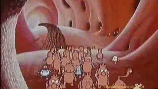 Educational Cartoons - 4 الدم Blood - Arabic