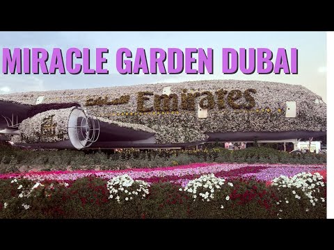 Dubai Miracle Garden 🌸 | The World’s Largest Flower Garden | Is It Worth Visiting?