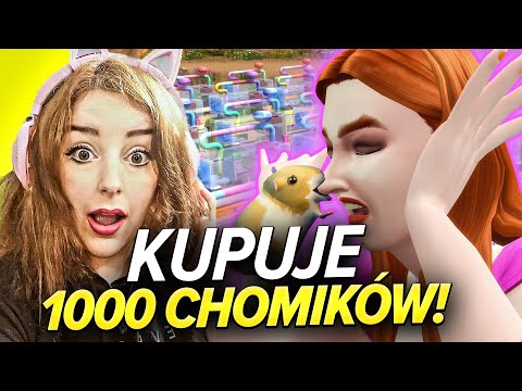 CZY DAMY RADĘ SIĘ DOROBIĆ NA GRYZONIACH?