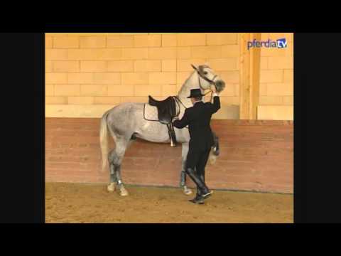 So erarbeitet man den Spanischer Schritt nach Légèreté | Philippe Karl