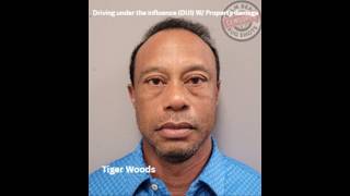 Recent Dui arrest for Palm Beach County for 3-20-26 to 3-29-26.