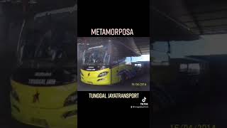 Download lagu Tunggal Jaya Since 1994 mp3