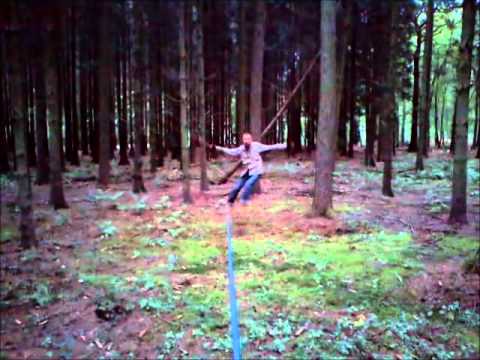 Forest Psy Research Projekt on a Psyline