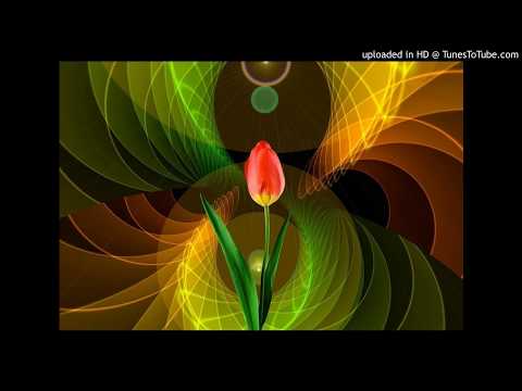 Tulip Abstract - Original Piano PolySyPd composition - Sheila S. Ber.