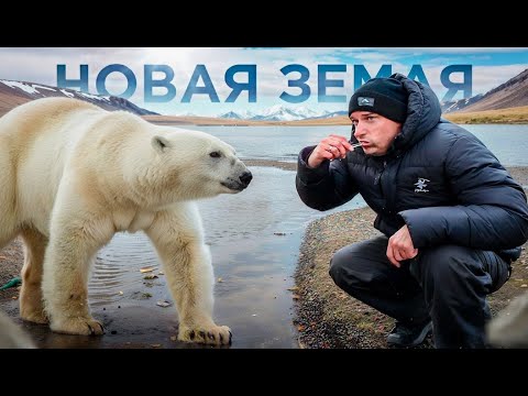 Встреча с Белыми Медведями на Новой Земле. Рыбалка и Подводная Охота в Дикой Тундре