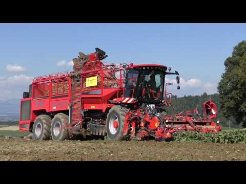 Rübenernte 2017 mit Holmer Terra Dos T4-40