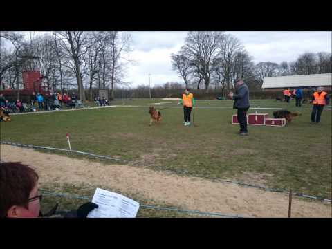 Koby Von Fidelius  Veteran han F1 i Randers skue 28-03 2015