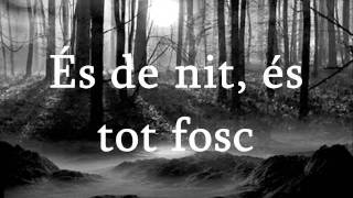 SENSE TU- amb la lletra