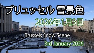 ブリュッセル 2026年 初雪 1月