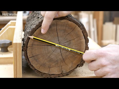 Kleine Stämme richtig trocknen