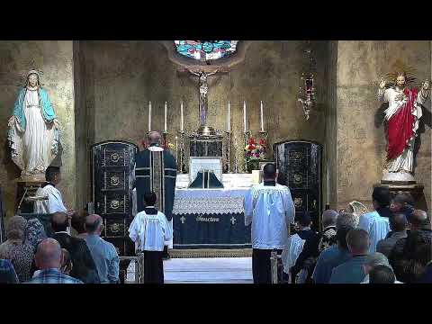 10:30 AM Missa Lecta - Dominica XII Post Pentecosten