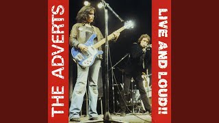 Safety In Numbers (Live)