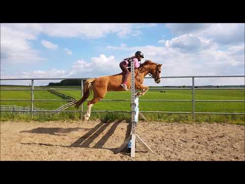 Malu (9) und Senna - Fotoserie vom 01.05.2018