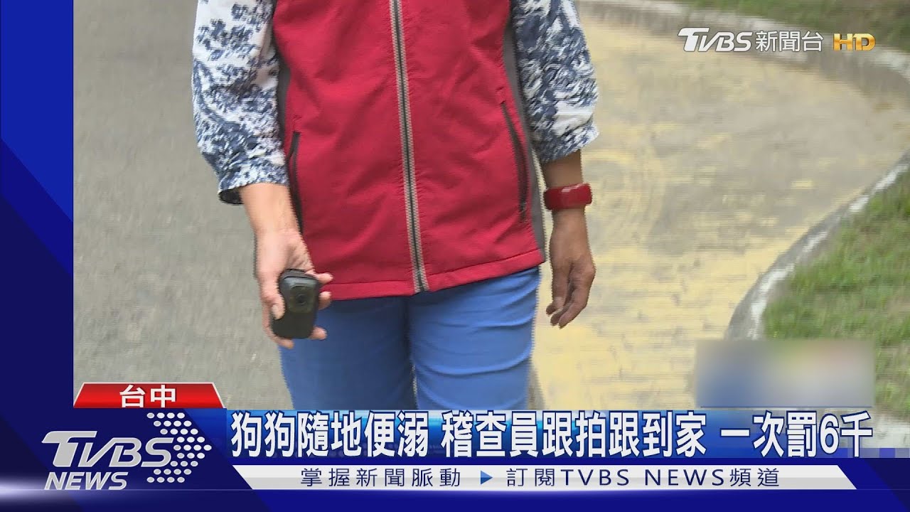 狗狗隨地便溺　稽查員跟拍跟到家錄影開罰