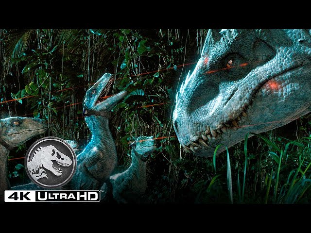 Vídeo relacionado con HWC Trading FR - Póster impreso A3 de Jurassic World 2 Chris Pratt Gifts con autógrafo firmado para fanáticos de la película, enmarcado A3