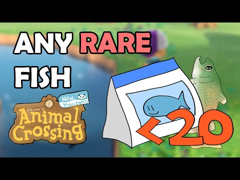 How to get ANY RARE FISH with 20 Fishbait or less in Animal Crossing New Horizons [Fishing Guide]