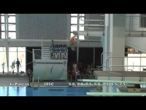19th FINA Junior World Diving Championships - Boys B Final 3m.m4v