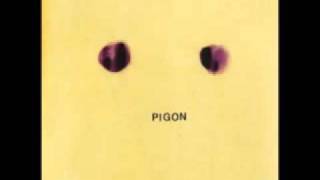 Pigon - Koto