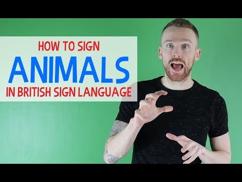 How to Sign Animals in British in BSL