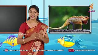 Standard 3 | Environmental Studies | Class – 06
