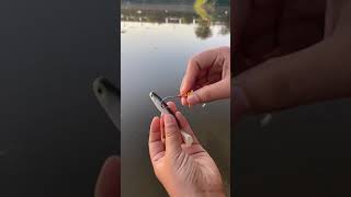 The perfect fishing rod for fishing / Fishing001