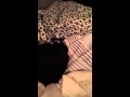 Lucy Lou Tickle Torture