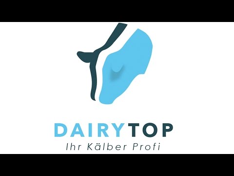download lagu mp3 mp4 Dairytop, download lagu Dairytop gratis, unduh video klip Dairytop