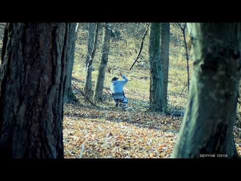 Borhanci Wars November 28, 2021