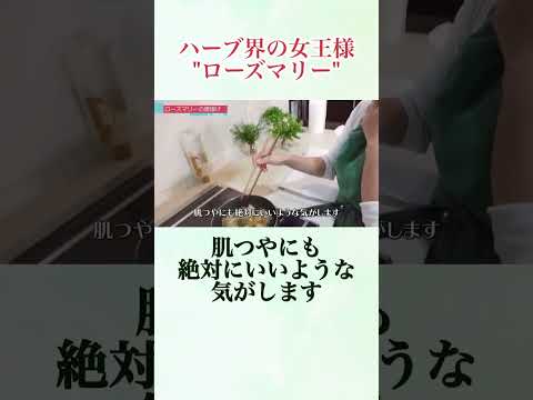 医療ビジネス薬科学科 🌿ハーブ界の女王様 ローズマリー🌿 #shorts #ハーブ #体質改善