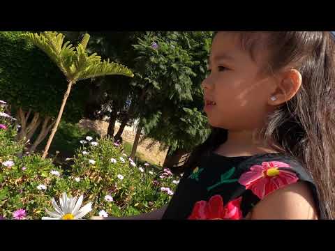 Art city lovely flowers@ abha