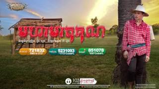 មហាមាតុគុណ - ពេជ្រ ថាណា - Town CD Vol 103 [Official Audio]