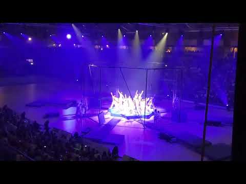 SWISSRINGS8 - FIG Gala Imaginastics at 16th World Gymnaestrada 2019 Dornbirn (07.12/2)