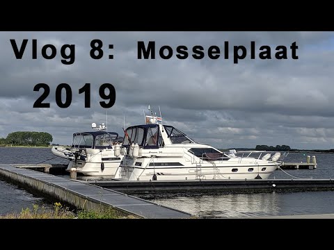 Vlog 8: Bootsurlaub 2019 - Mosselplaat - im Veersemeer - Zeeland