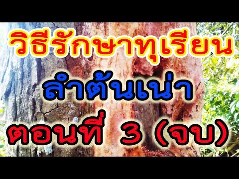 เป็นสาวชาวเอเชียสามารถใช้ cocks ใหญ่ ยาโป๊สำหรับผู้หญิง