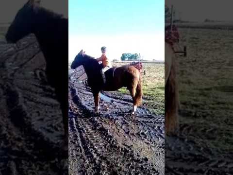 milton Gaute andando acaballo