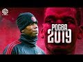 Paul Pogba 2019 ● Skills, Goals, & Passes  🇫🇷