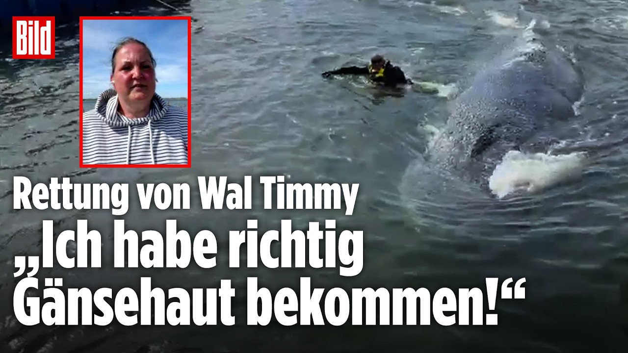 WAL TIMMY: Teil 1 der Rettung ist geschafft! „Ich habe richtig Gänsehaut bekommen!“