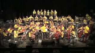 Take On Me - 2014 Seattle Rock Orchestra Summer Intensive