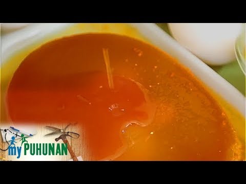 download lagu mp3 mp4 Leche Flan Benefits, download lagu Leche Flan Benefits gratis, unduh video klip Leche Flan Benefits