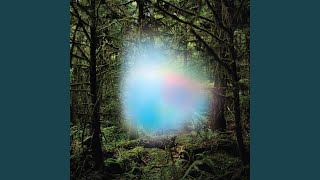 Ghosts of the Forest