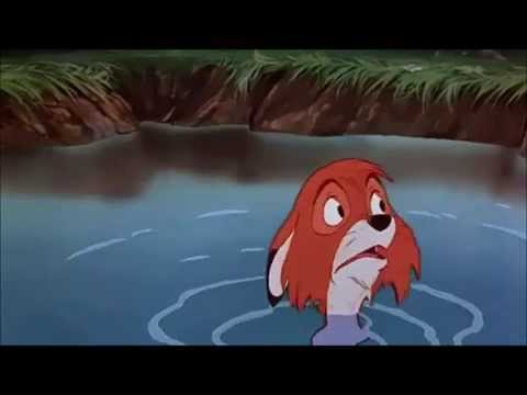 The ilovecakeAJ Book Part 7- Lucky Captured by Raccoons