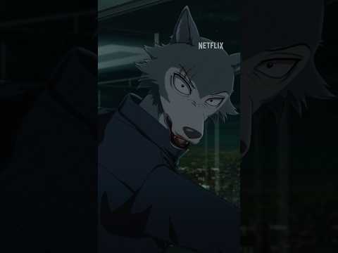 Don't mess with Legoshi #BEASTARS