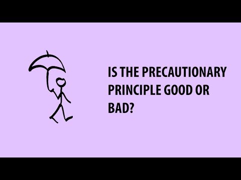 Precautionary Principle | Vibepedia