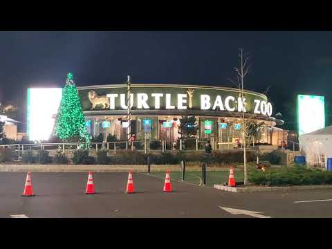 Holiday Lights Turtle Back Zoo