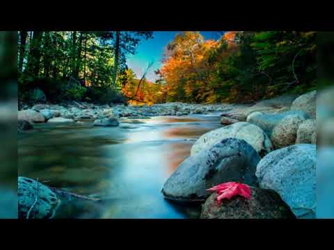 Island Vocal Tribute - Mo lesu mai