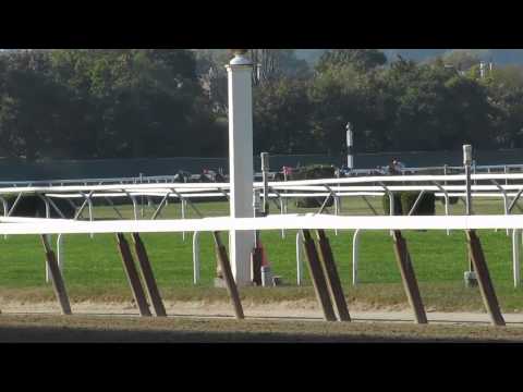 Racing Highlights from Belmont Racetrack