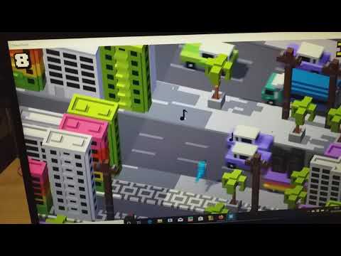 Macore bird on crossy road