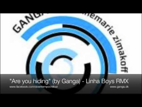 Are you hiding feat Annemarie Zimakoff - linha boys in the dark RMX